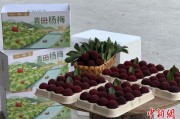 九紫大运高速赋能产业升级：一条“杨梅路”的致富密码